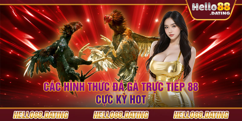 Các hình thức đá gà trực tiếp 88 cực kỳ hot