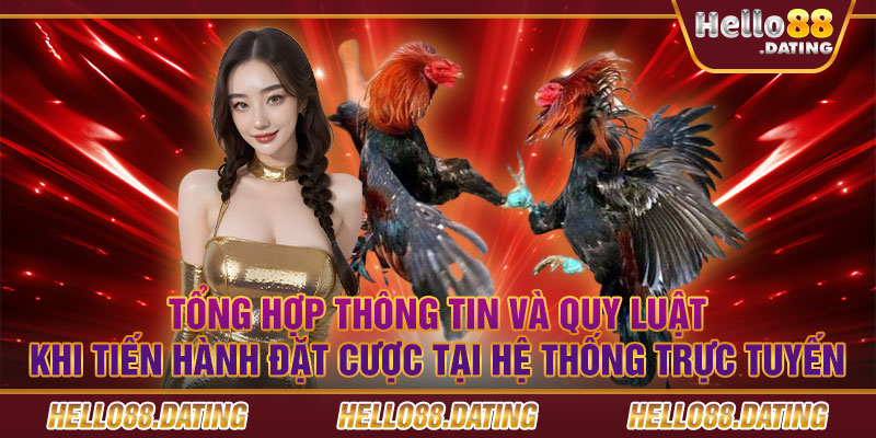 Tổng hợp thông tin và quy luật khi tiến hành đặt cược tại hệ thống trực tuyến