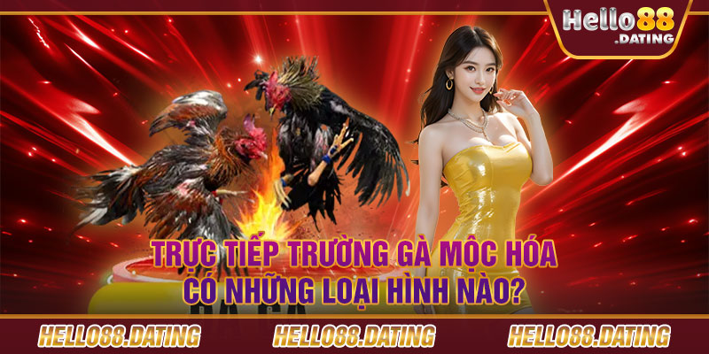 Trực tiếp trường gà Mộc Hóa có những loại hình nào?