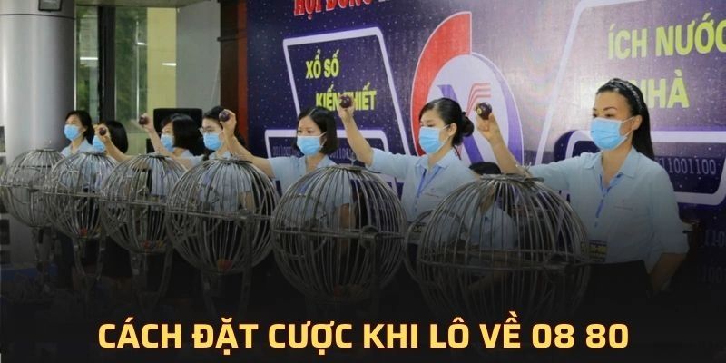 Giải đáp lô về 08 80 hôm sau đánh con gì?